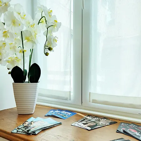 Flat Tiffany * Terst